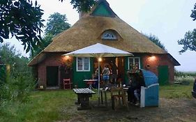 Reetdachhaus, Wilstermarsch